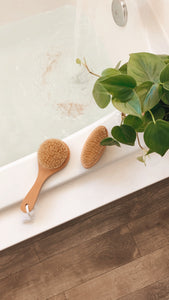 Dry Brushes